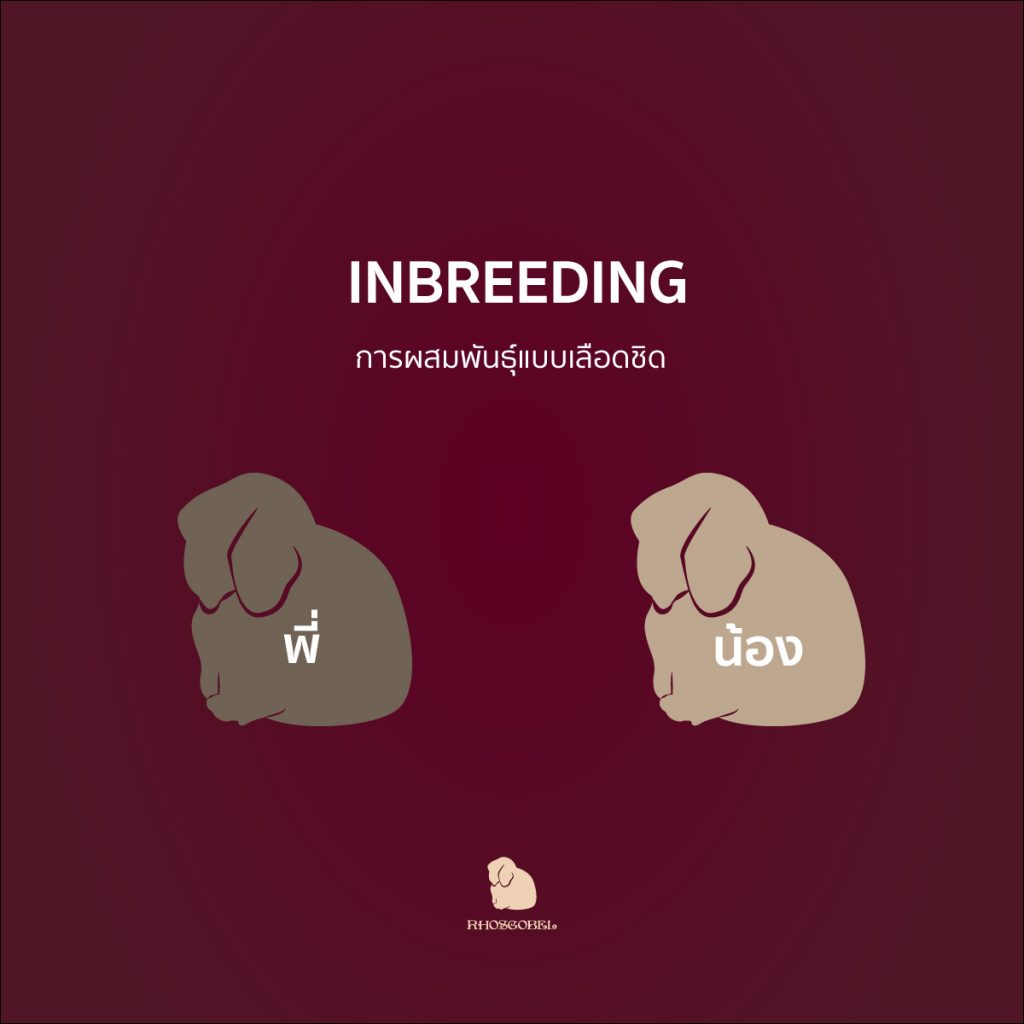 Inbreeding
